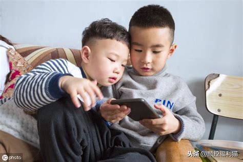 小朋友適合養什麼寵物|5到10歲的小朋友養什麼樣的寵物比較好？